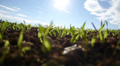 Sowing the Seeds of Employee Discontent