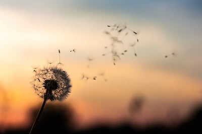 From the Inside Out - 11 Ways to Introduce Mindfulness to your Work Day