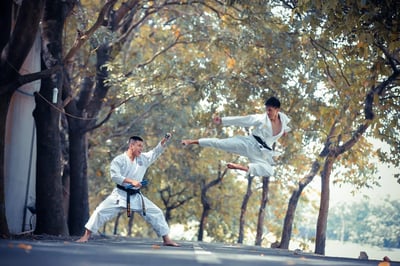 Fight the Good Fight - Why Leaders Should Promote Healthy Conflict